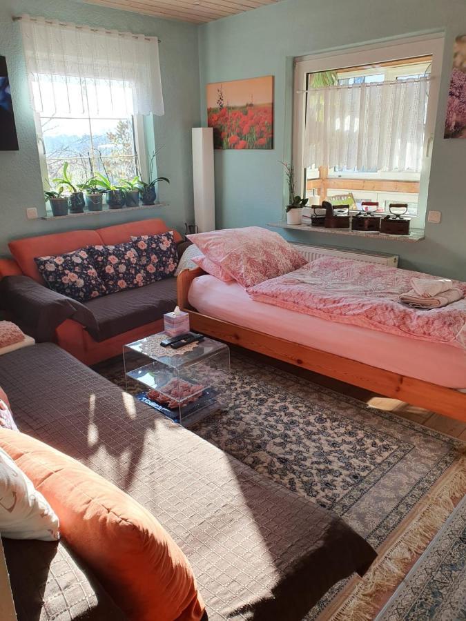 Luxus Ferienwohnung Pfungstadt Εξωτερικό φωτογραφία